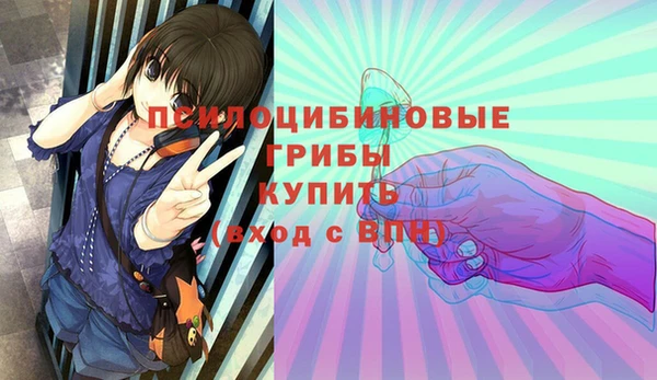 Альфа ПВП Аркадак