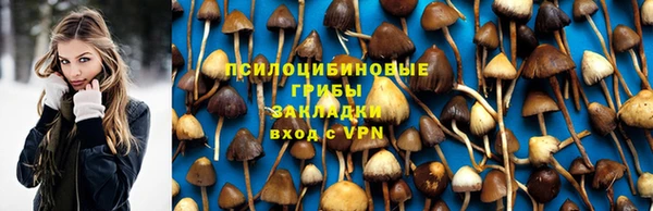 Альфа ПВП Аркадак