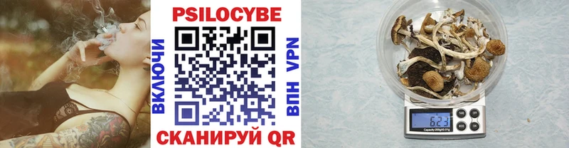 Галлюциногенные грибы мухоморы  наркота  Среднеуральск 